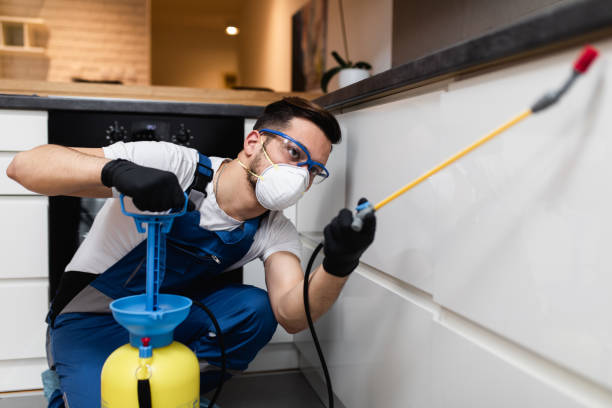 Best Residential Pest Control  in Graysville, AL