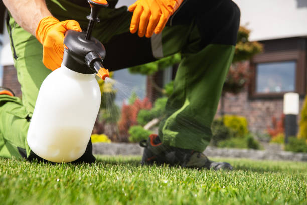 Best Exterminator Services  in Graysville, AL