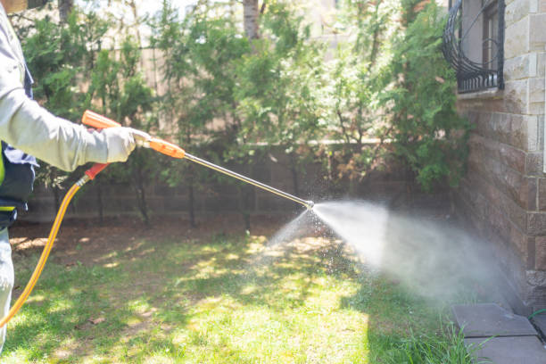 Best Pest Removal Services  in Graysville, AL