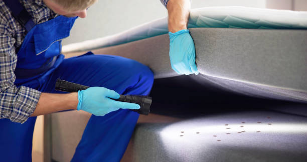 Wasp Removal Services in Graysville, AL
